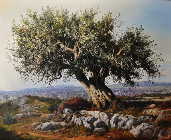 The History and Origins of Olive Oil: A Journey Through Time