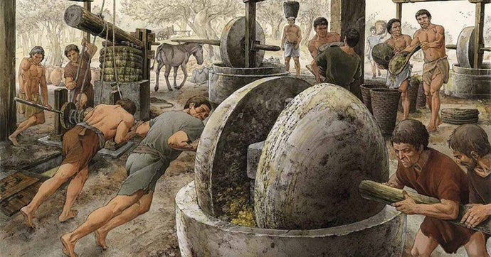 Roman Ghosts & Olive Oil Crimes – History Never Tasted So Good